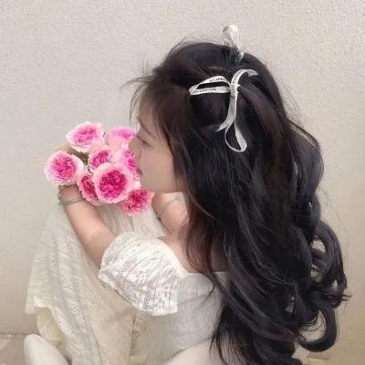 鹿鼎山下